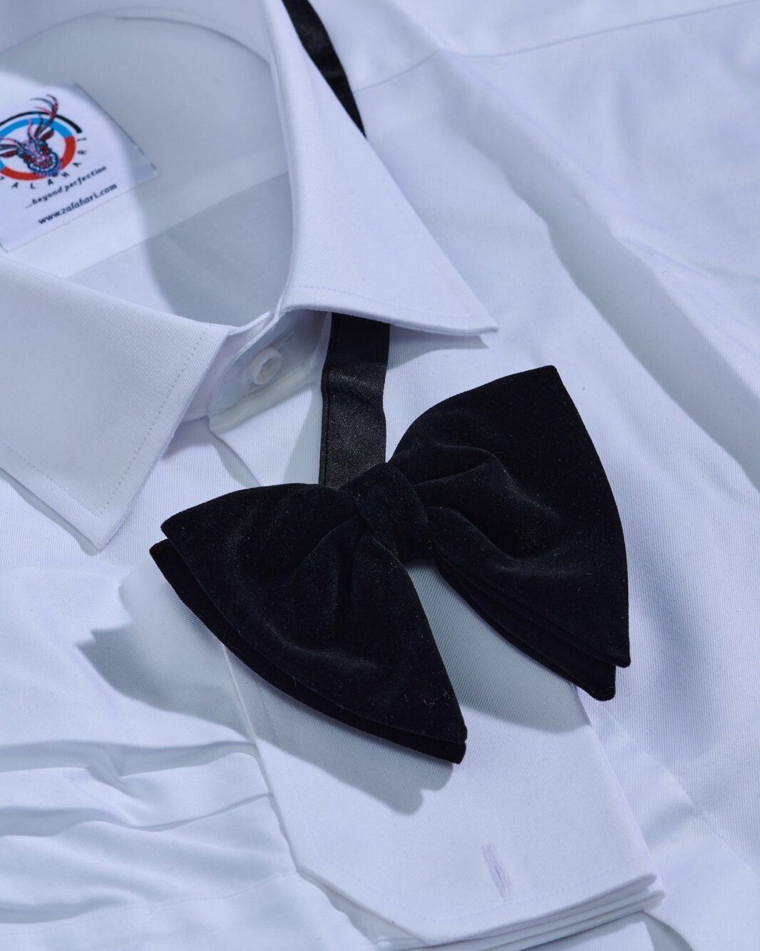 David Zala - Accessories